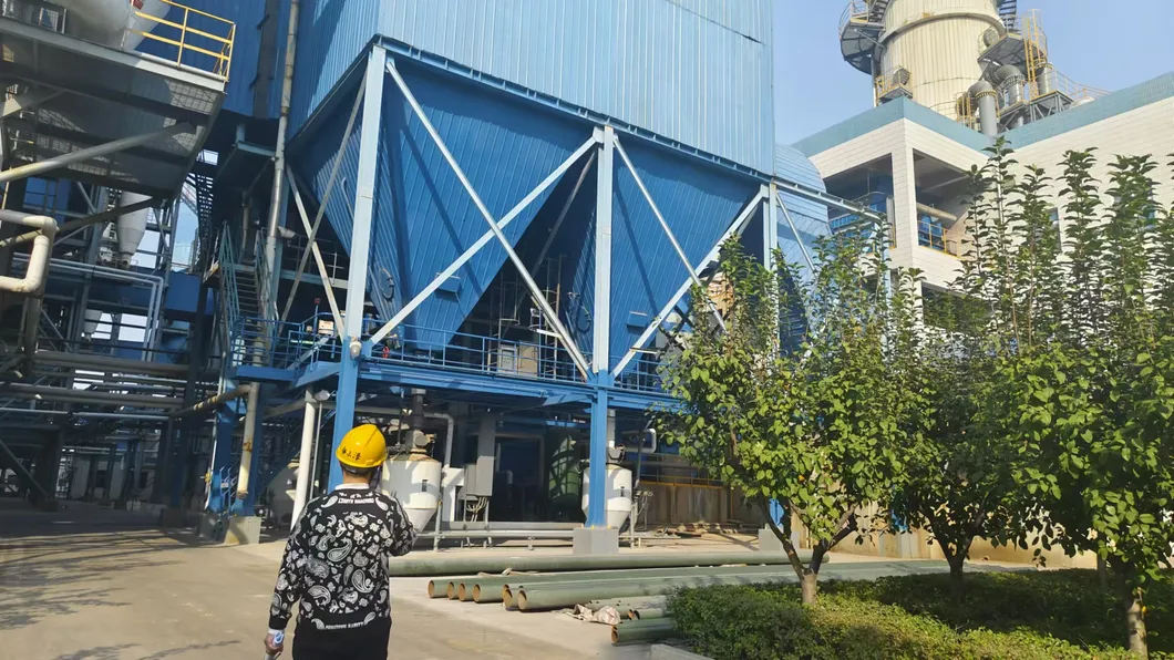 Customized Large Industrial Pulse Filter Bag Dust Collector Smoke Filtration
