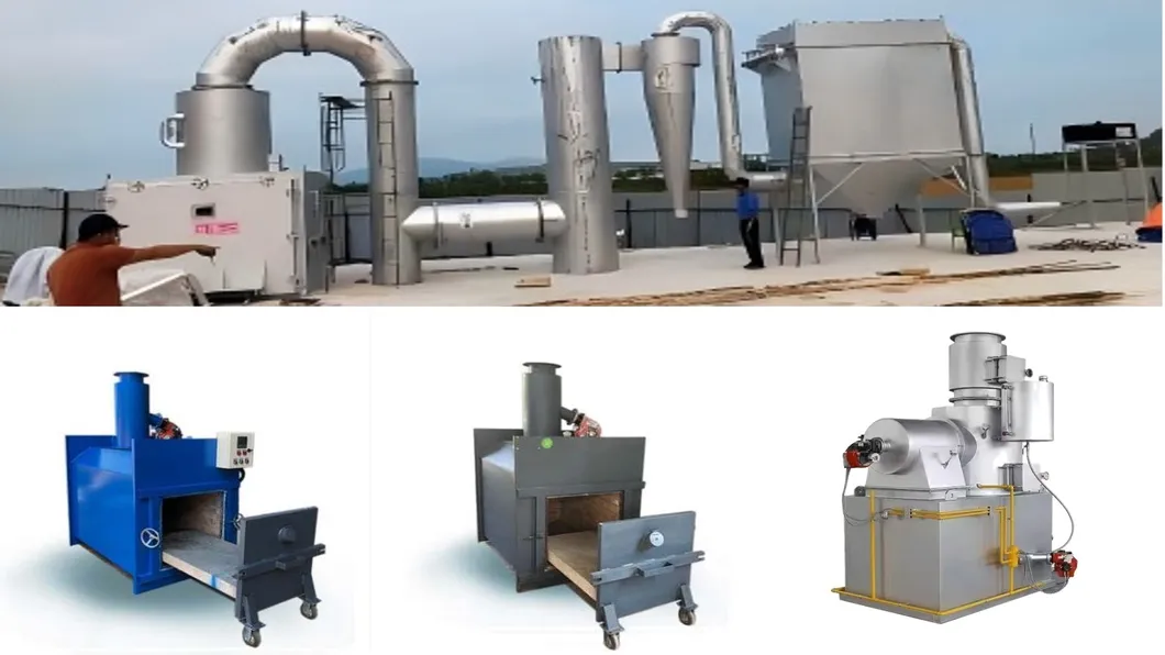 Customized Smoke Purification Garbage Incinerator Animal Crematorium Dust Collector