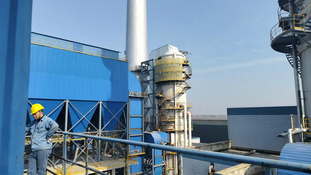 Intelligent Large-Scale Flour Mill, Cement Factory, Chemical Plant Industrial Bag Dust Collector